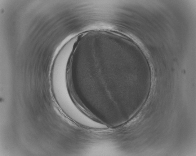 X0000057080864200509231622