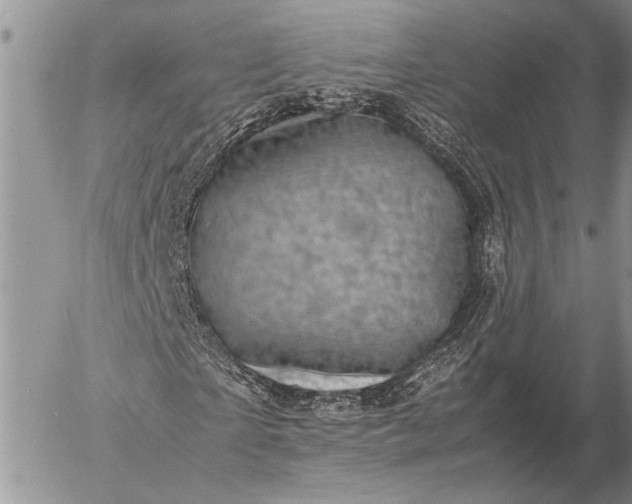 X0000057080865200509231621