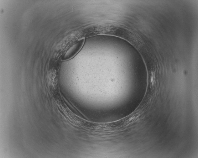 X0000057080867200509231621