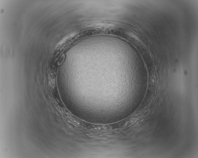 X0000057080869200509231621