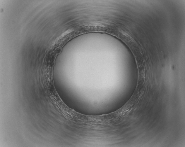 X0000057080870200509231621