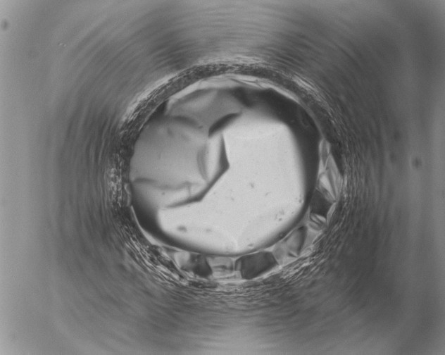 X0000057080872200509231621