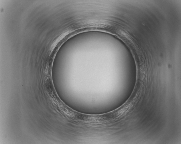 X0000057080875200509231621