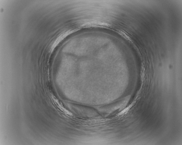 X0000057080877200509231621