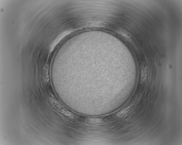 X0000057080878200509231621