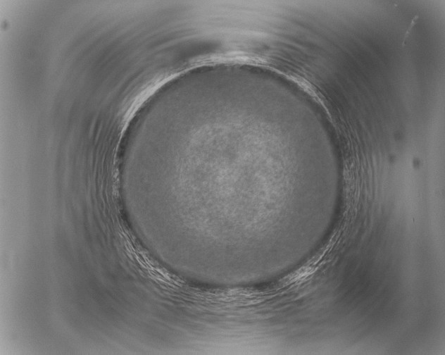 X0000057080879200509231621