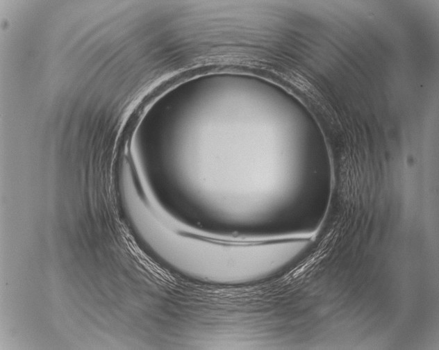 X0000057080880200509231621