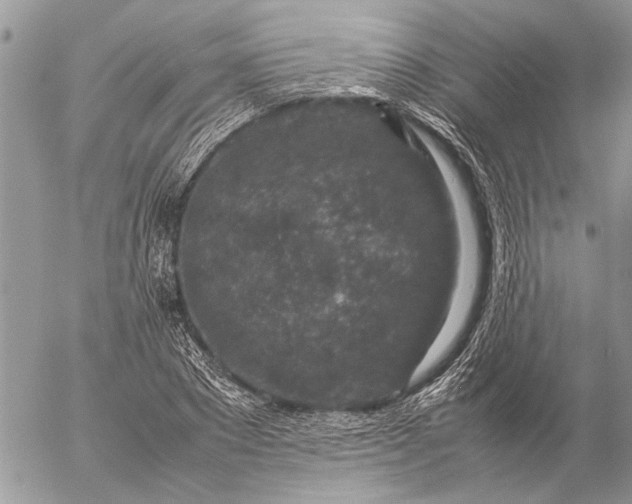 X0000057080881200509231621