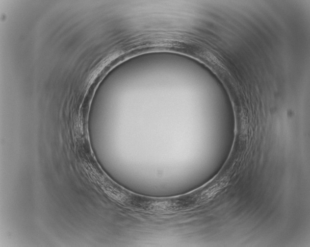 X0000057080883200509231621