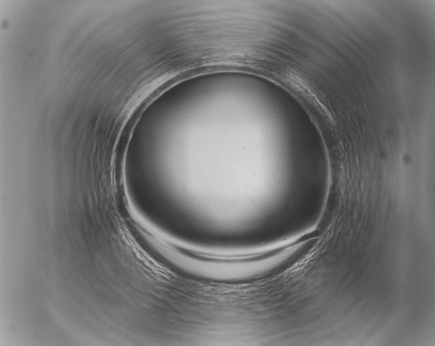 X0000057080884200509231621