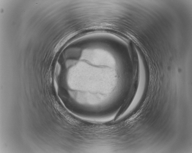 X0000057080885200509231621