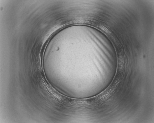 X0000057080886200509231621