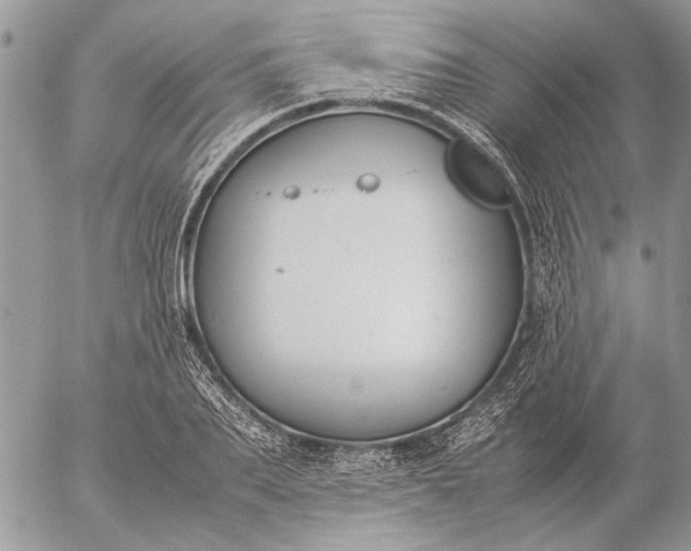 X0000057080887200509231621