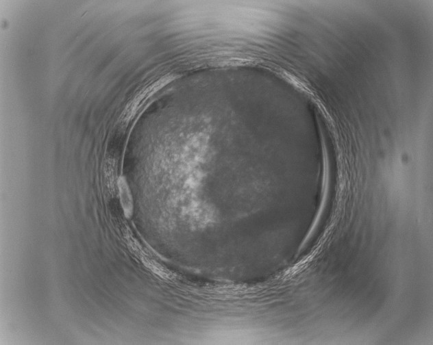 X0000057080889200509231621