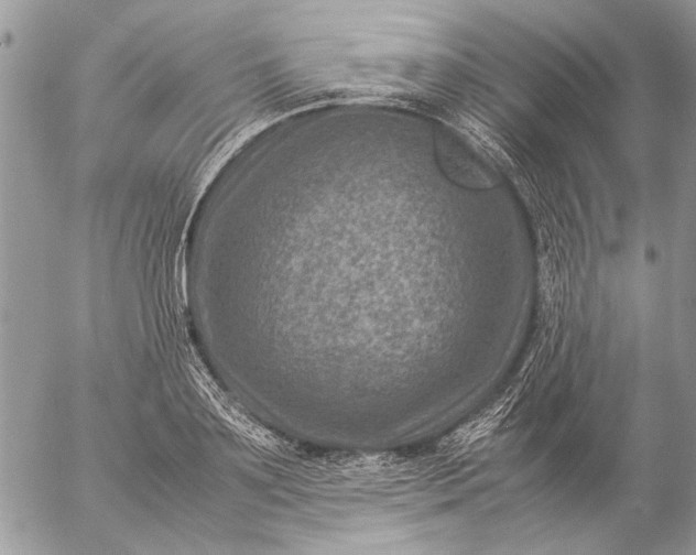 X0000057080891200509231621