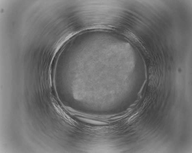 X0000057080892200509231621