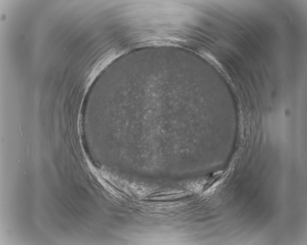 X0000057080893200509231621