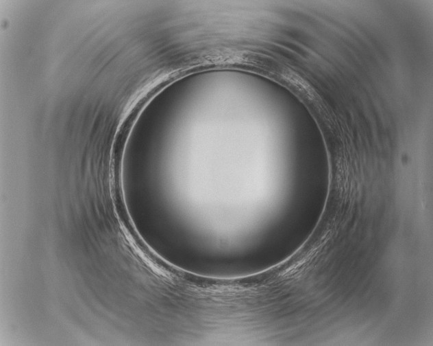 X0000057080894200509231621