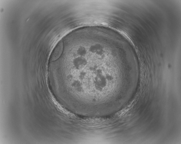 X0000057080895200509231621