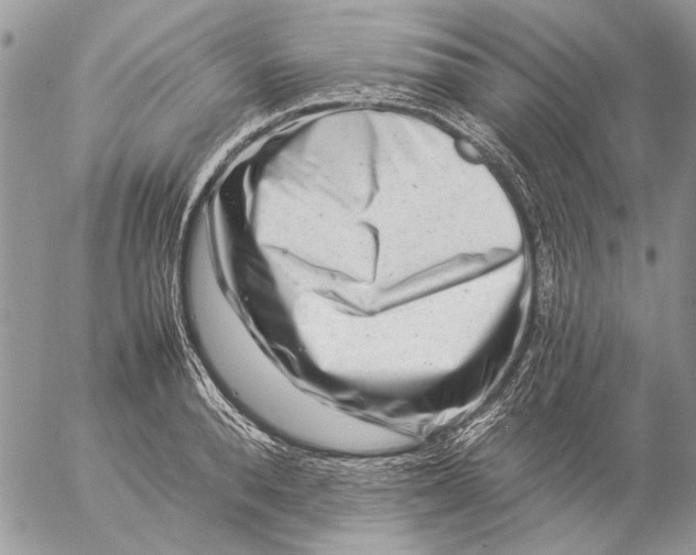 X0000057080896200509231621