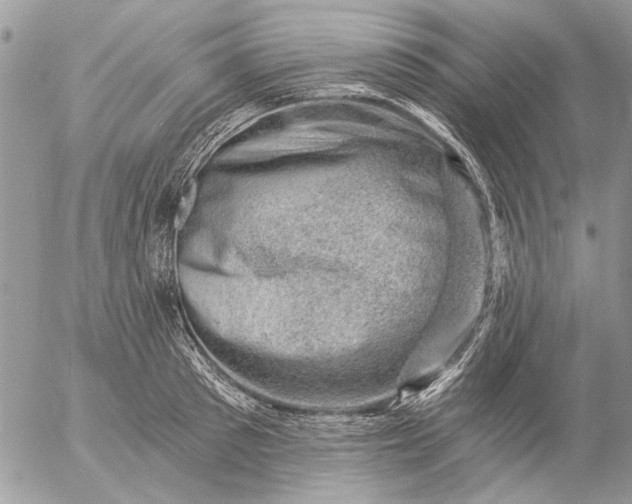 X0000057080897200509231621