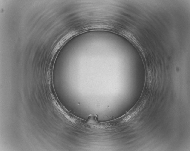 X0000057080898200509231621