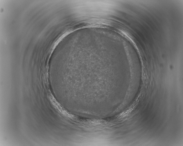 X0000057080899200509231621