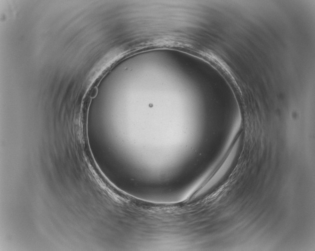 X0000057080902200509231621