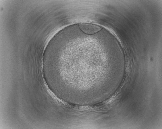 X0000057080903200509231621