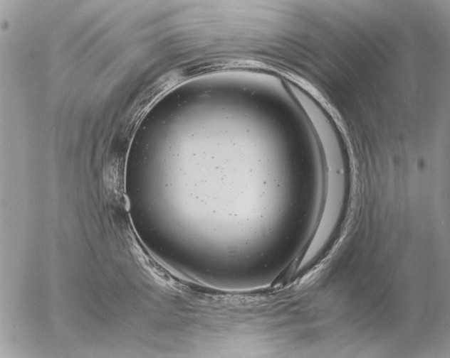 X0000057080905200509231621