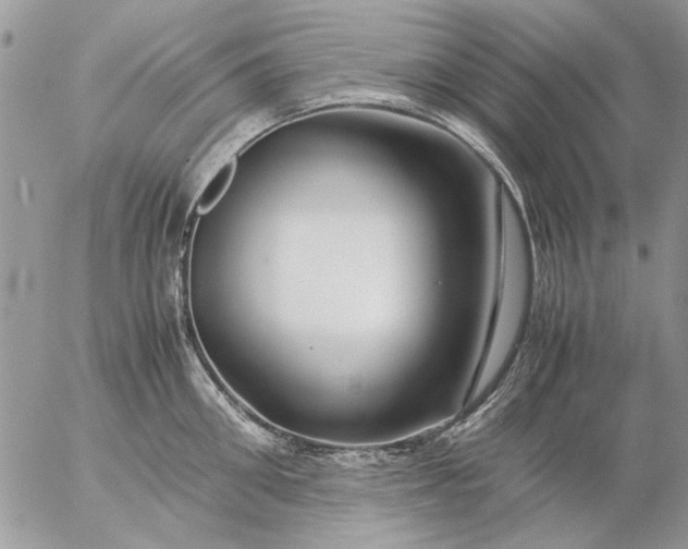 X0000057080906200509231621