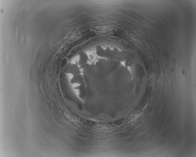 X0000057080913200509231620