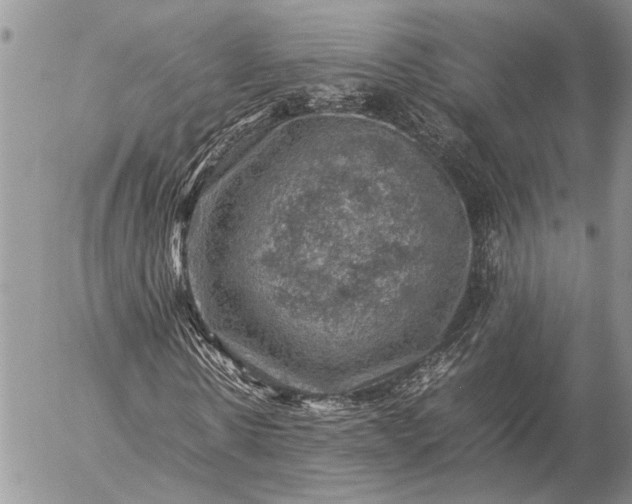 X0000057080914200509231620