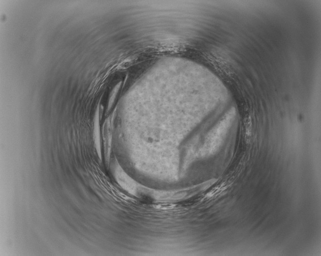 X0000057080916200509231620