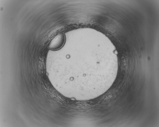 X0000057080918200509231620