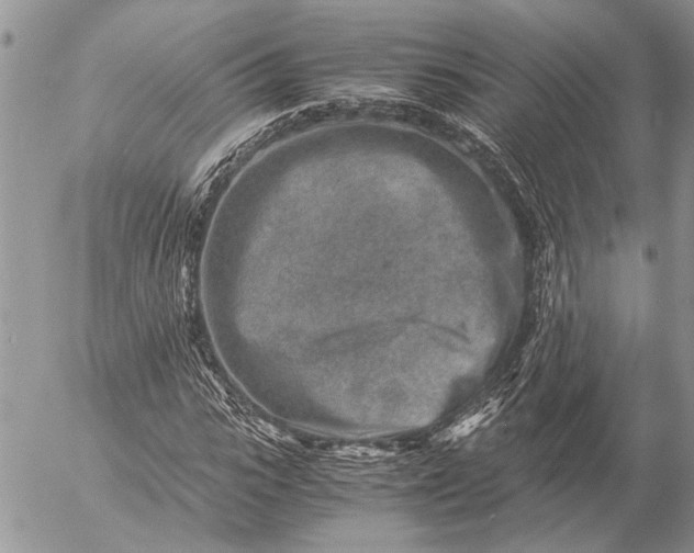 X0000057080919200509231620