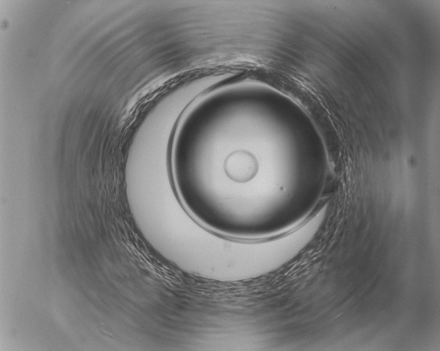 X0000057080920200509231620