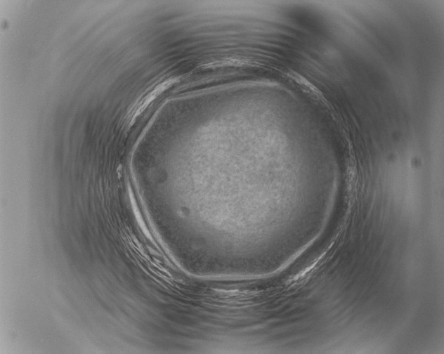 X0000057080921200509231620