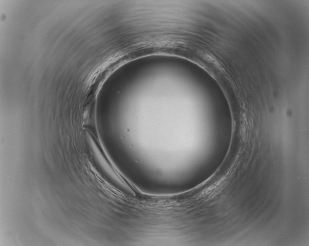 X0000057080922200509231620