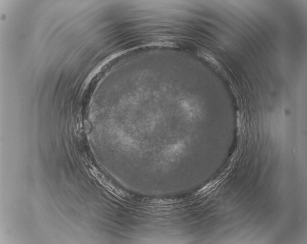 X0000057080923200509231620