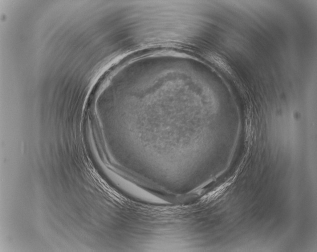 X0000057080924200509231620