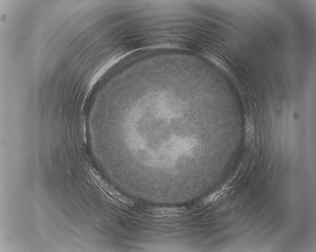 X0000057080925200509231620