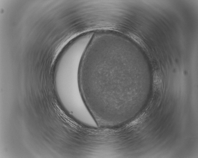 X0000057080926200509231620