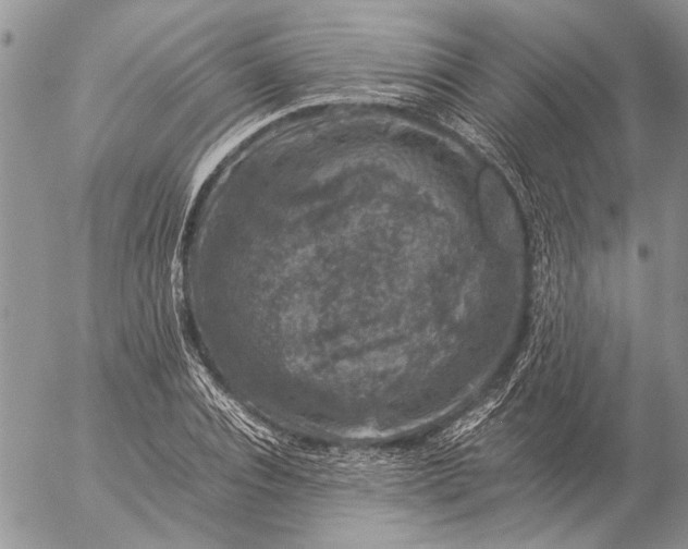 X0000057080928200509231620