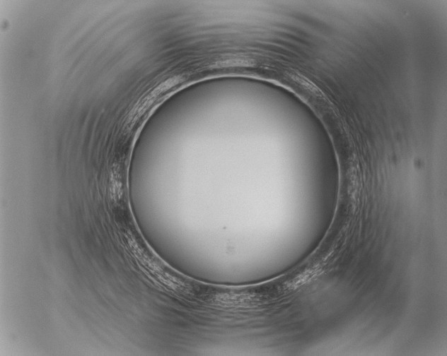 X0000057080929200509231620