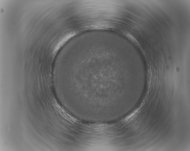 X0000057080930200509231620