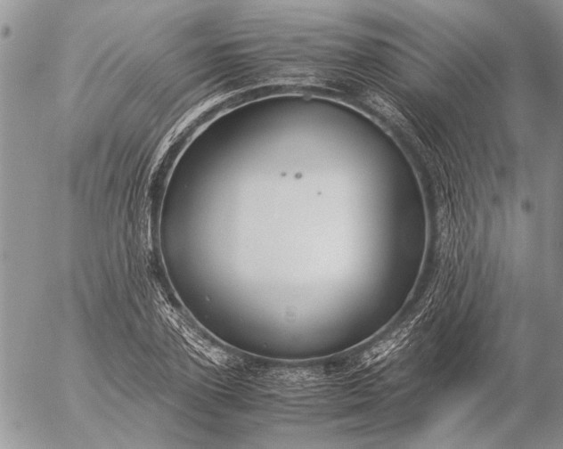 X0000057080931200509231620