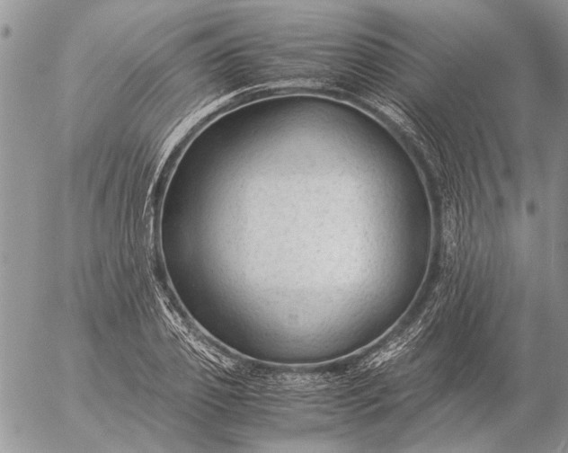 X0000057080933200509231620