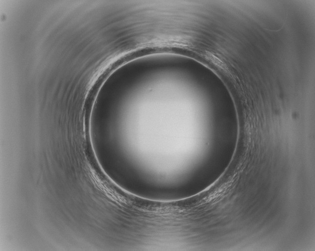 X0000057080934200509231620