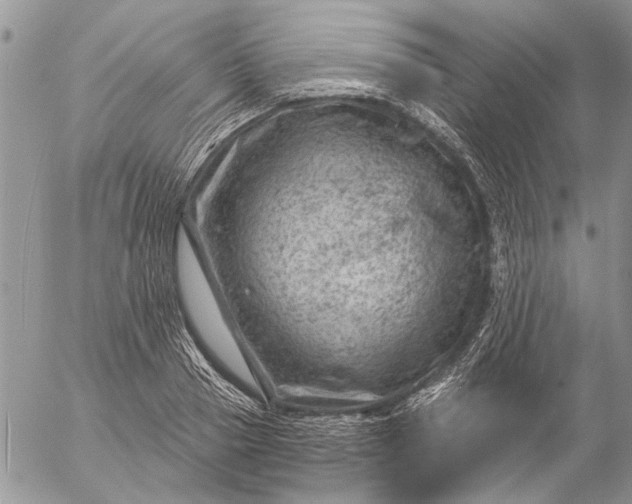 X0000057080937200509231620